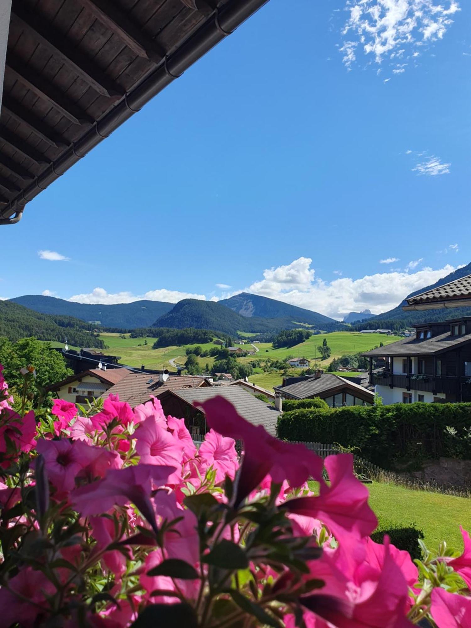 B&B Garni Lantschner Castelrotto Eksteriør billede